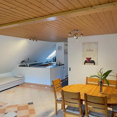 Geraeumiges Maisonette Apartment Todtmoos Esterno foto